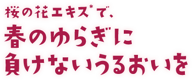桜の花エキス＊で、春のゆらぎに負けないうるおいを