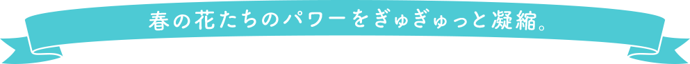 春の花たちのパワーをぎゅぎゅっと凝縮。