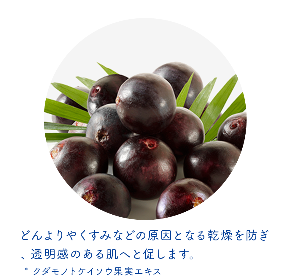 パッションフルーツエキス*