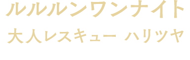 ルルルンワンナイト 大人レスキュー ハリツヤ