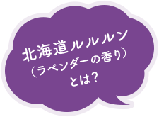 北海道ルルルン（ラベンダーの香り）とは？
