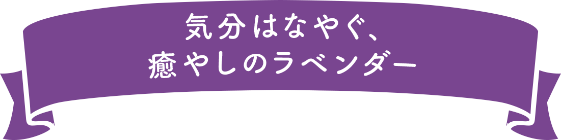 気分はなやぐ、癒やしのラベンダー