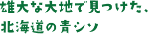 雄大な大地で見つけた、北海道の青シソ