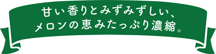 甘い香りとみずみずしい、メロンの恵みたっぷり濃縮。