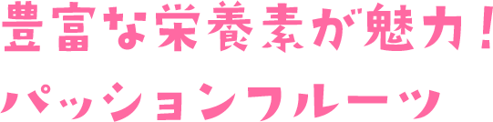 豊富な栄養素が魅力！パッションフルーツ